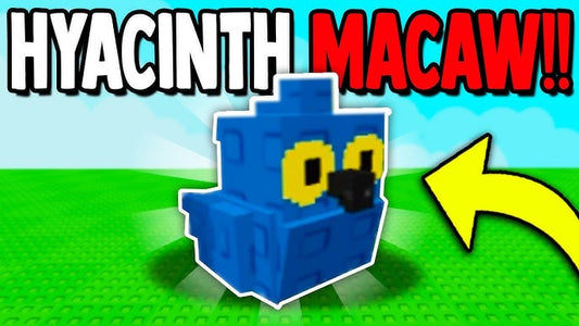 hyacinth macaw - grow a garden